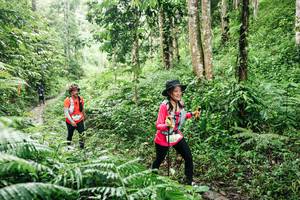 BIB: 
                            <button type="button" onclick="openModal(26366622)" class="btn btn-primary btn-sm float-right btn-popup" data-toggle="modal" data-target=".modal-high-quality">
                        <i class="fas fa-shopping-cart"></i> Add to Cart
                    </button>
                                            <button type="button" onclick="isThisMe(26366622, true)" class="btn btn-success btn-sm float-right btn-popup btn-isme hidden" data-toggle="tooltip" data-placement="bottom" title="นี่คือรูปของคุณใช่ไหม คลิกที่นี่เพื่อเอาเข้าอัลบั้ม">
                        <i class="fas fa-plus"></i> Add to album
                    </button>
                    <button type="button" onclick="isThisMe(26366622, false)" class="btn btn-warning btn-sm float-right btn-popup btn-isnotme hidden">
                        <i class="fas fa-ban"></i> Remove from album
                    </button>